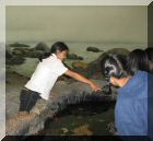 Museum 02.jpg